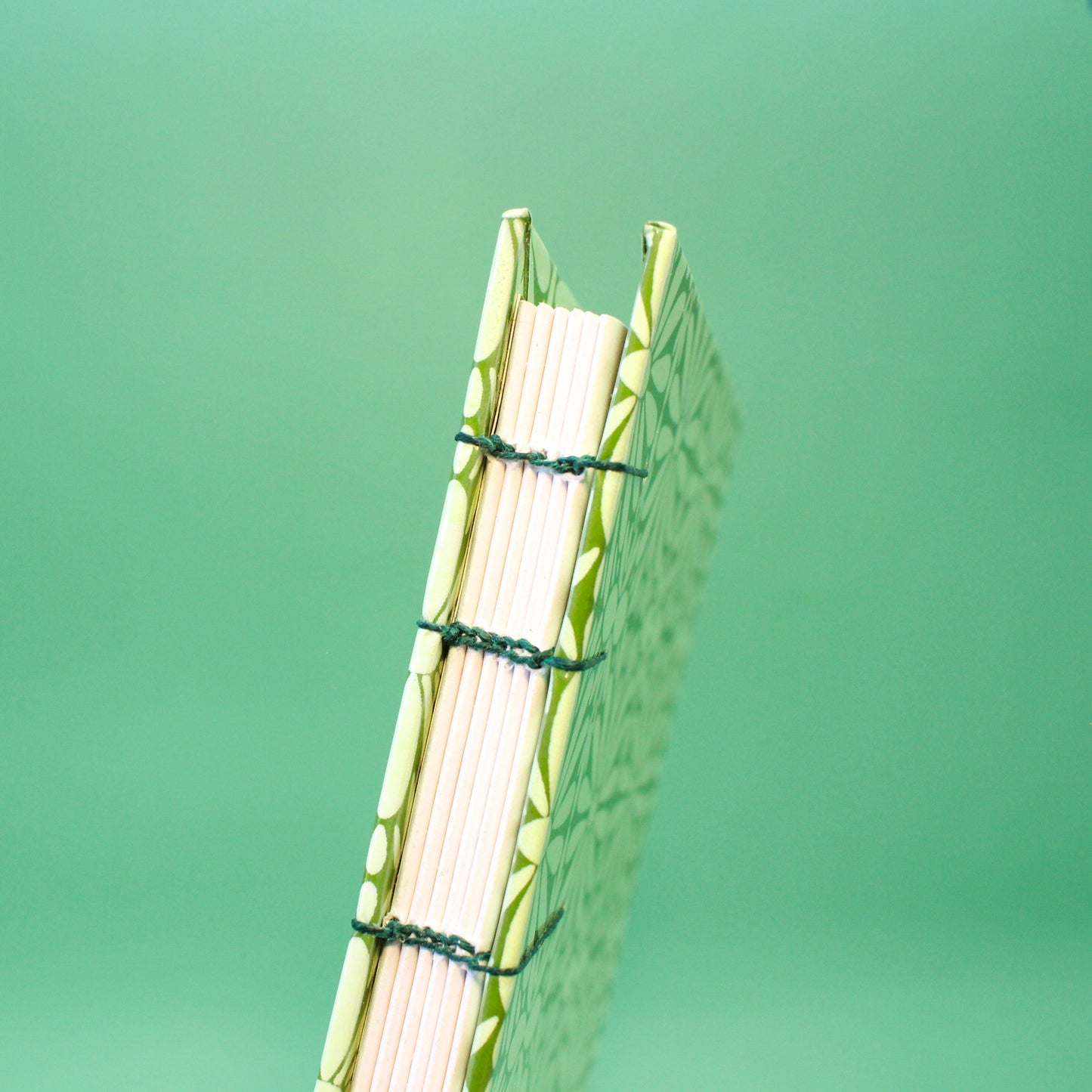 Light Green Tierra y Flor Large Coptic Stitch Book