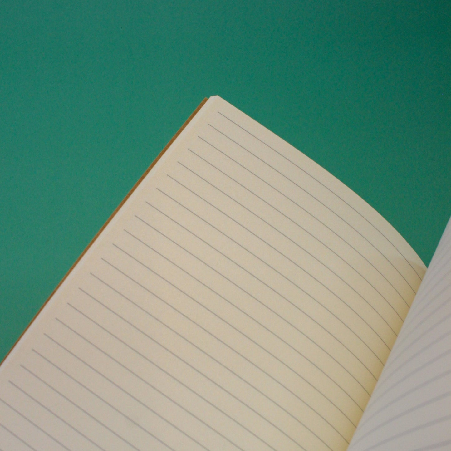 Medicine Notebook