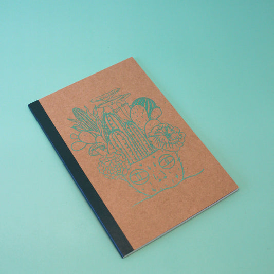 Medicine Notebook