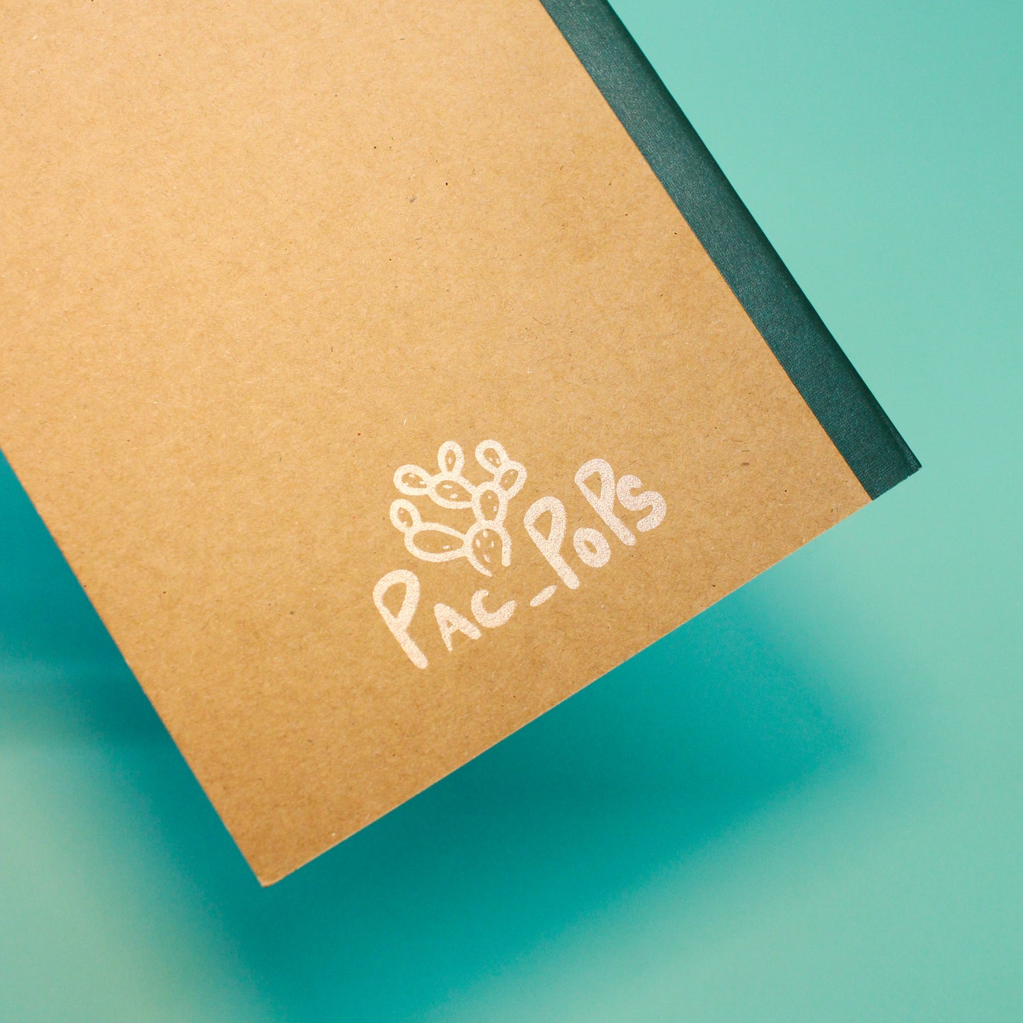 Medicine Notebook